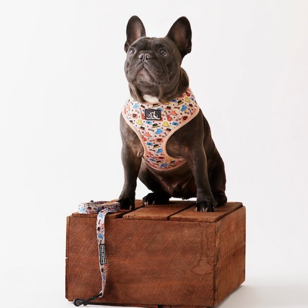 Dog Harness ~ Hipster Please 3