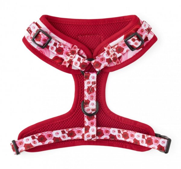 Adjustable Dog Harness ~ Feeling Rosé 2