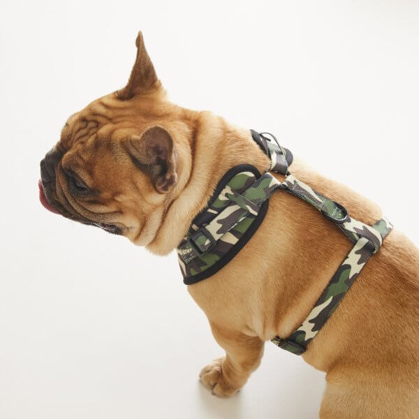 Adjustable Dog Harness ~ The Sarge 4