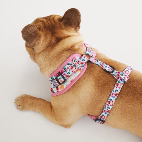 Adjustable Dog Harness ~ Sweet Blossom 4