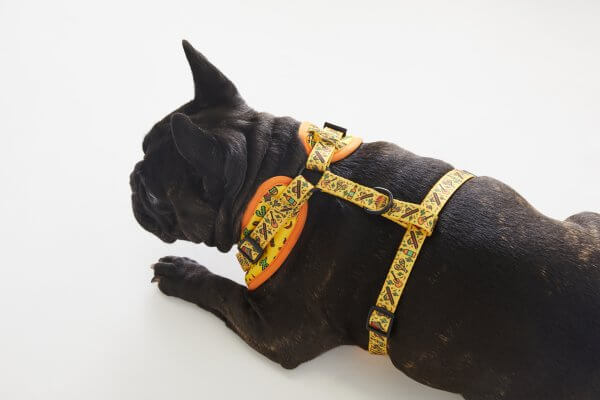 Adjustable Dog Harness ~ No Way Jose 4