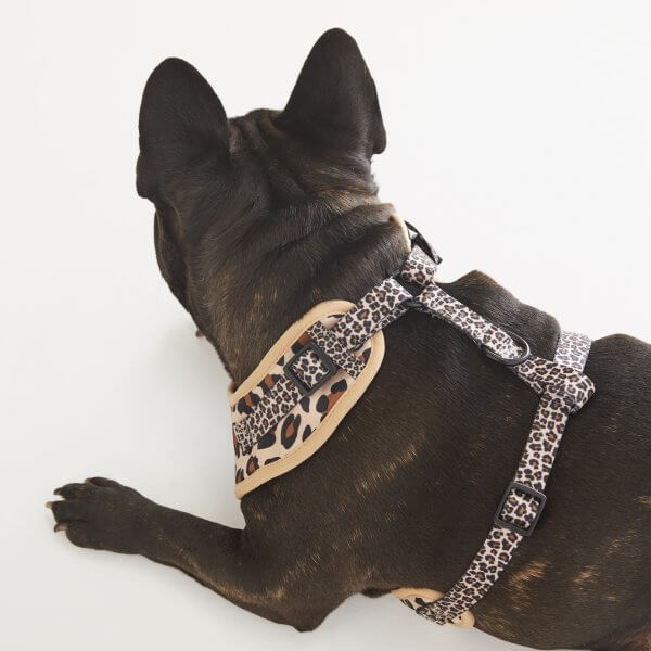 Adjustable Dog Harness ~ Get Wild 4