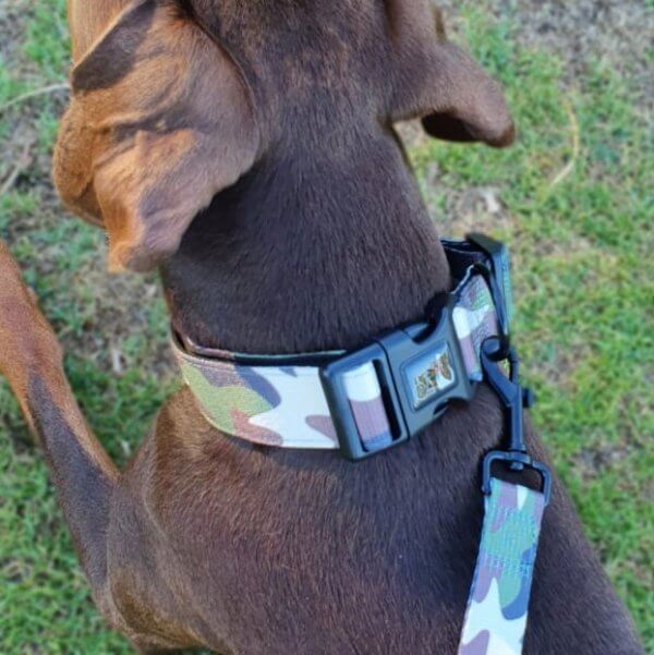 Heavy Duty Dog Collar ~ The Sarge 4