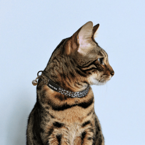 Cat Collar ~ Get Wild 3