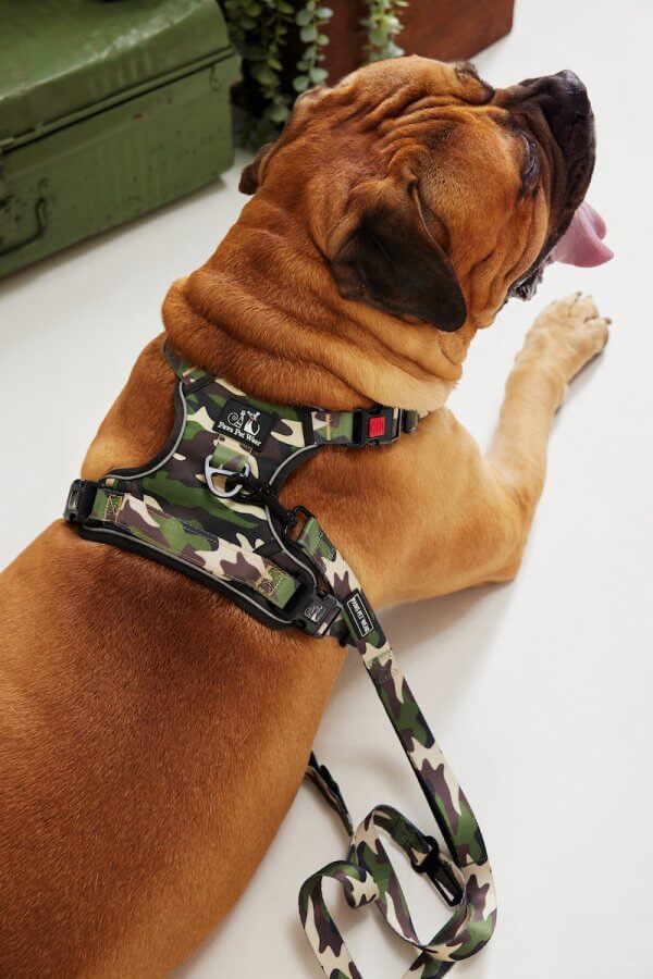 Heavy Duty Dog Harness ~ The Sarge 4